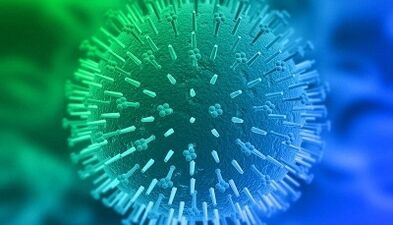 routes of infection with human papilloma virus