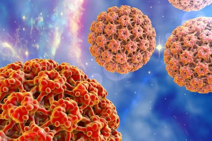 human papilloma virus molecule